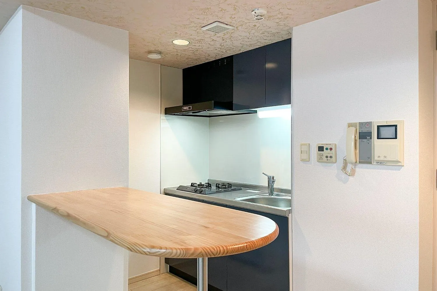 Cityspire Namba West Osaka Apartment
